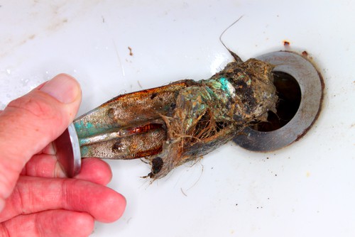 shutterstock_468129359