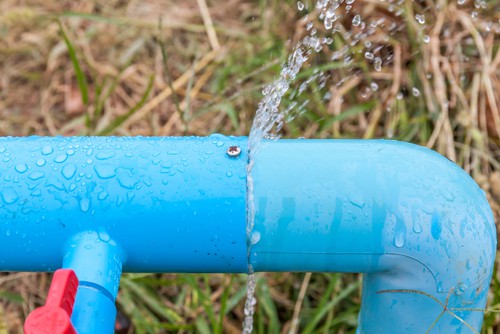 shutterstock_540168349